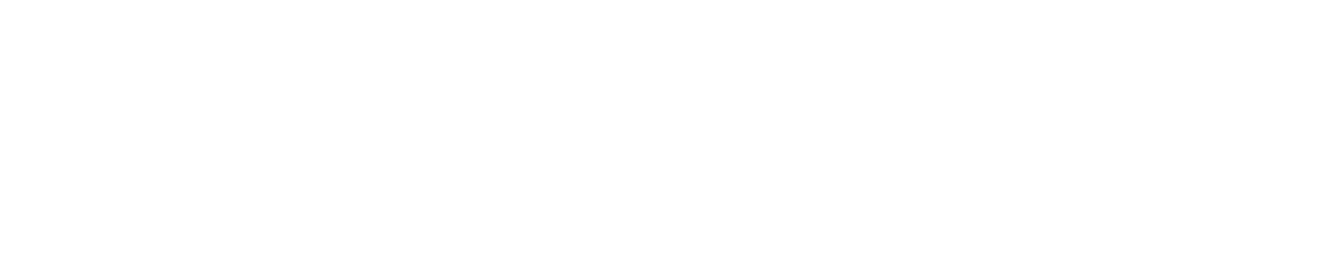 BS Team Signature